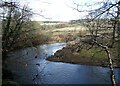 The River Browney