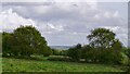 View from Little Warley Common Towards Langdon Hills