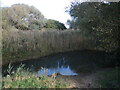 Smaller pond on Berrow dunes