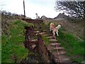 Slipping coastal path