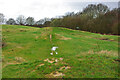 Little used BMX track, Burgess Hill, 2010