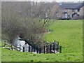 Balne Beck, looking downstream