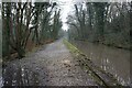 Peak Forest Canal towards bridge #14