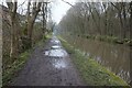 Peak Forest Canal towards bridge #13A