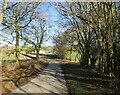 Green  Lane  toward  Main  Road