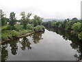 Looking upstream from Old Stirling Bridge