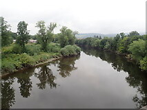 NS7994 : Looking upstream from Old Stirling Bridge by Eirian Evans