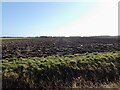 Ploughed field off Bellcroft Lane