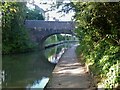 A stroll along the Coventry Canal to Hawkesbury Junction [37]