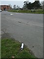 Litter on the verge in Hazel Avenue