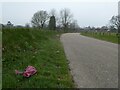 Litter on the verge in Oak Tree Drive