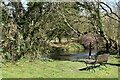 Seat overlooking the stream north of Bury Bridge