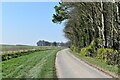 York Road, looking towards Druid