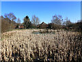 Slack Dam, Wibsey Park, Bradford