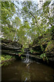 Roughting Linn Waterfall