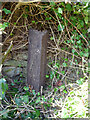 Old Boundary Post, Edge