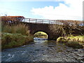 Bridge over the Carron Water