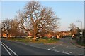 Pinfold Green, Badby