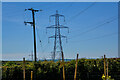 Ugborough : Pylon