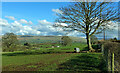 Farmland near Glassonby