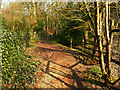 Elland Bridleway 64 crossing Holywell Brook, Stainland