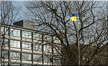 J3474 : Ukrainian flag, Belfast by Rossographer