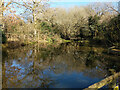 Pond, Bedelands Farm local nature reserve