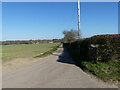 Roadway to Hall Farm