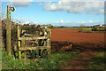 Field by Happerton Lane