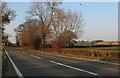 Williamscot Hill north of Banbury