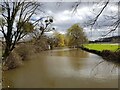 Pond at Cobhouse Farm