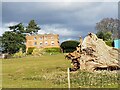 Roots of a fallen tree and Laugherne House