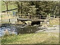 Ford and footbridge