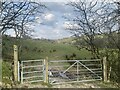 Stile and gate