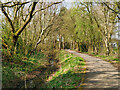 Nature Trail, Martin Mere Wetlands Centre