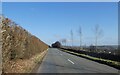 Hedge and layered hedge bordering road on Red Stone Hill