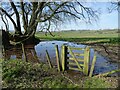 Flooded path at Rolstone Barton