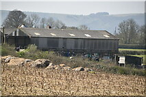 TQ3817 : Broomfield Farm by N Chadwick