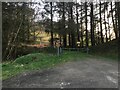 Forestry entrance to Coed Ffridd-y-drum