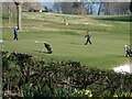 Golf green at Aberdour golf course