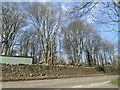 Wall and woodland adjacent to the B4579