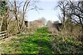 Bridleway bridge over the old GCR line