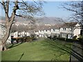 Houses above Haddow Grove