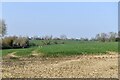 Fressingfield, Dale Road: Crop and a large area of bare earth