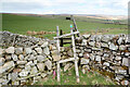 NY8729 : Particularly shambolic wooden stile over wall junction by Andy Waddington