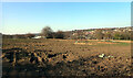 A field by Smithies Moor Lane, Batley