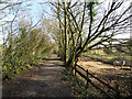 Footpath and disused railway line near Ponthenry