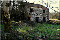 H5371 : Ruined mill, Bracky by Kenneth  Allen
