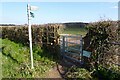 Kissing gate on the Daffodil Way