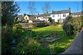 Wiveliscombe : Houses